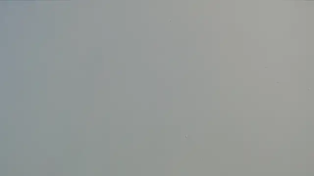 zoecute5817 webcam