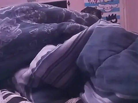 Blkstylion webcam