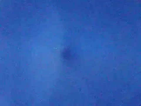 tarra122 webcam