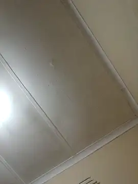 contagiousqueen webcam