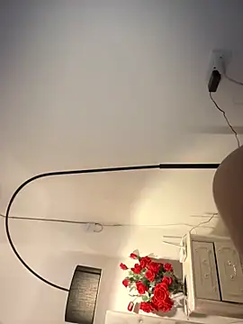 Ivysnow webcam