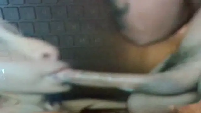 Thehauntedsexchamber webcam