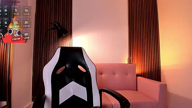 MAGIC_VERA webcam