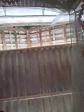 Biva11 webcam