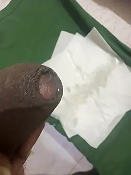 funtamilan webcam