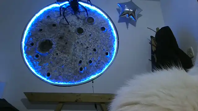 NaugthyCoupleX_ webcam