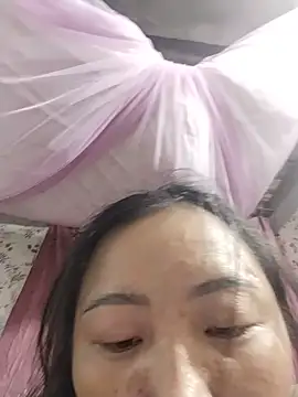 zhen-zo webcam