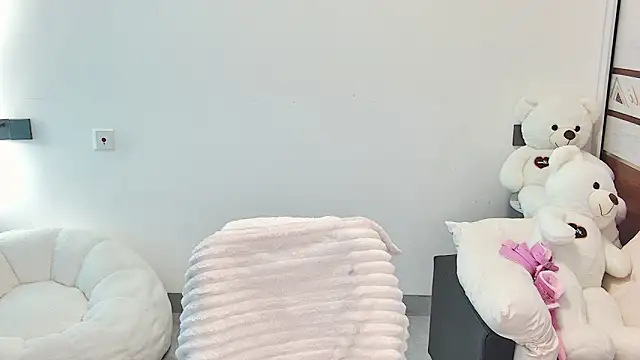 swie111 webcam