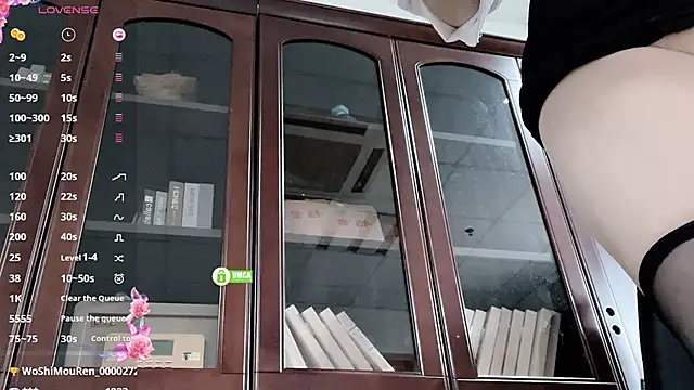 Kaixin520 webcam