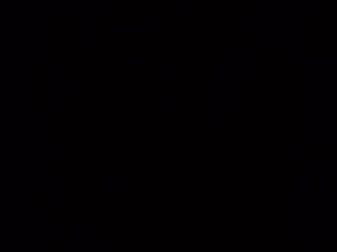 kanoali webcam
