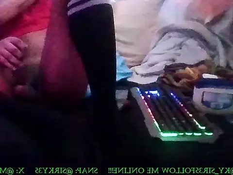 KY_Sir35 webcam