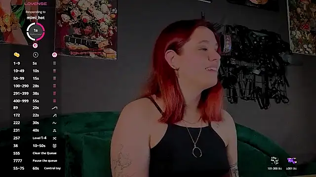 Serve_to_Alexa webcam