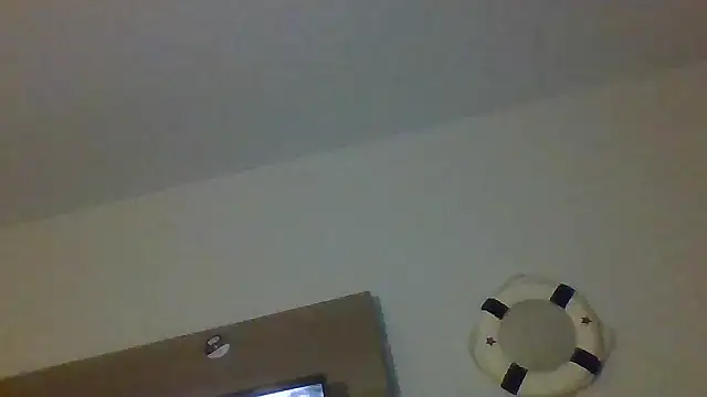 Dicksee_Left webcam