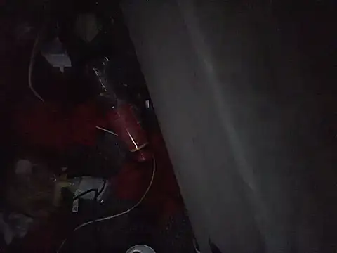 Nidge251 webcam