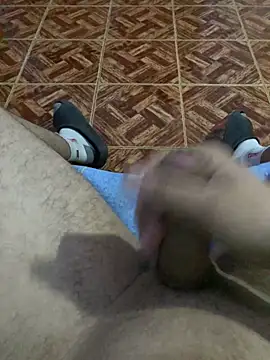 hans02938 webcam