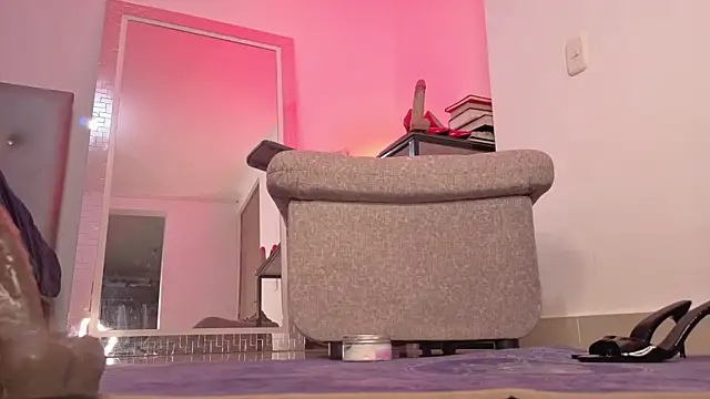 Salomelevis webcam