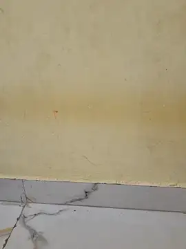 Teri_lella