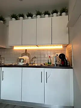 Michel_huge webcam