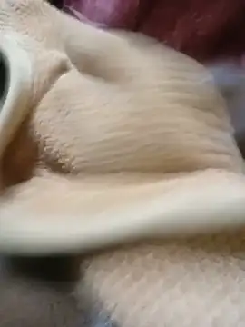 whitewidow274 webcam