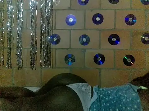 Tinvaldan1204 webcam