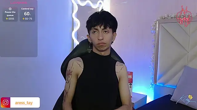 Aress_tay webcam