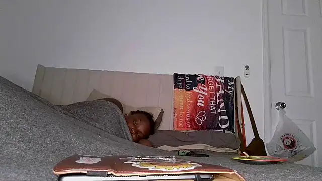 Tattedupdek webcam