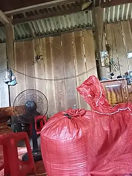 Ngocmi909 webcam