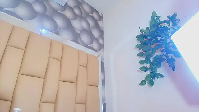 mss_samy webcam