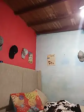BlakeandRouse webcam