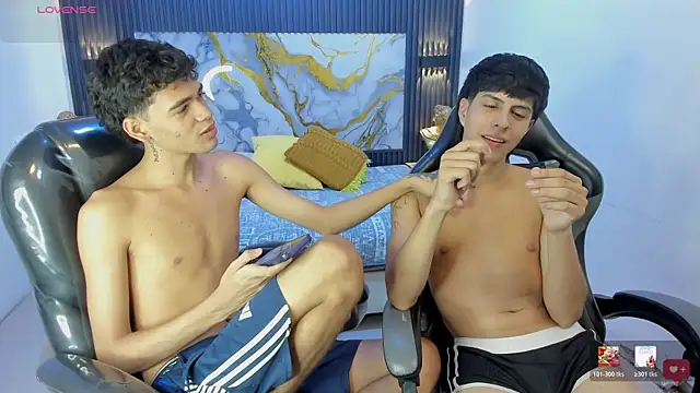 Estiv18_ webcam