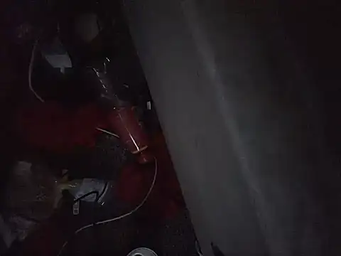 Nidge251 webcam