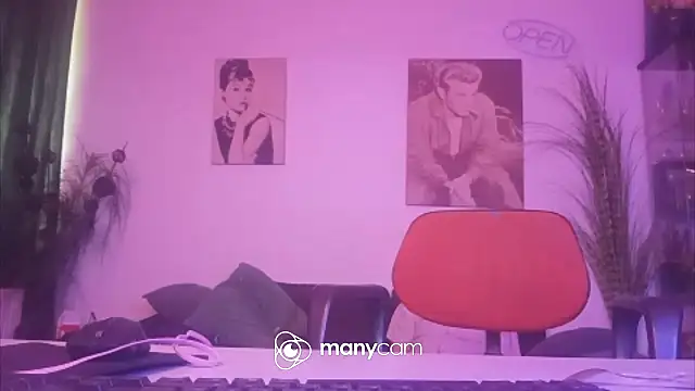 der_dino30 webcam