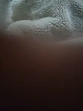 Given37909058 webcam