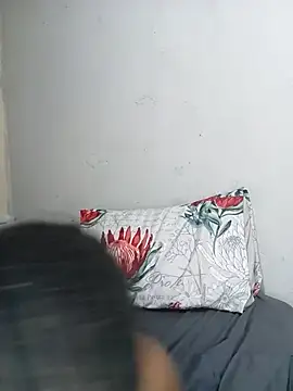 Teeangelaa webcam