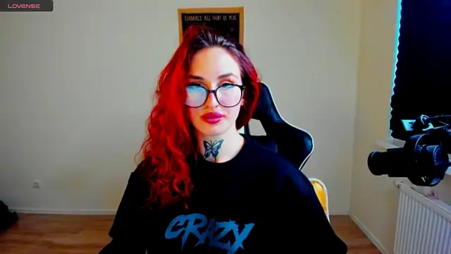 your_tora webcam