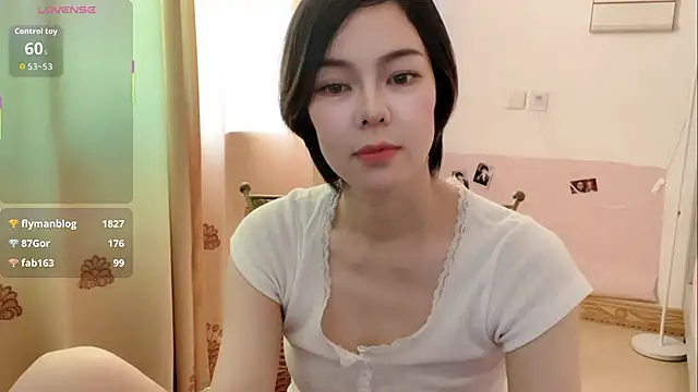 Linda-LL webcam