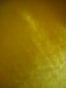 toyo_668 webcam