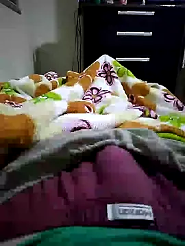 Gallanttrox webcam