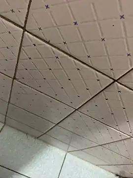 Walltaz webcam