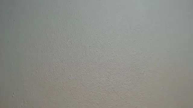 WEPUSSY23XX live cam on StripChat