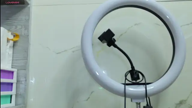 Moonceleste webcam