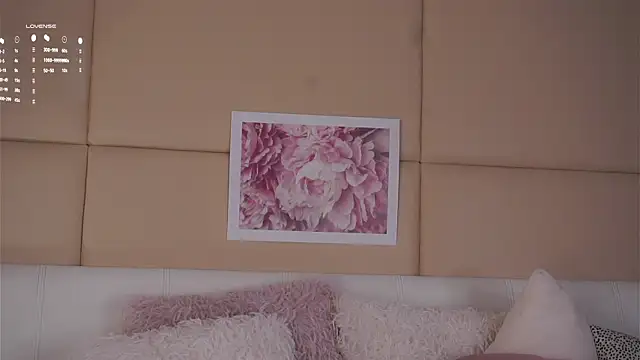 EdlinHargus webcam