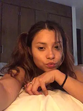 3littles webcam