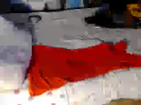 Trish_CurveCock webcam