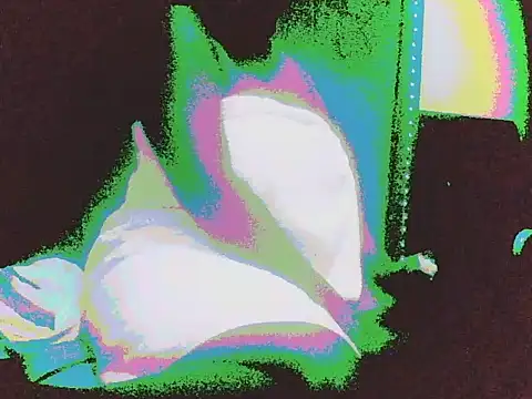 DripDiva webcam