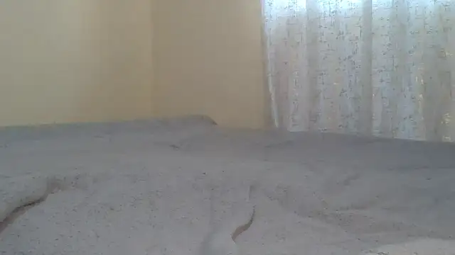 ndivhuwomuleya webcam