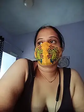 Hansikatelugu webcam