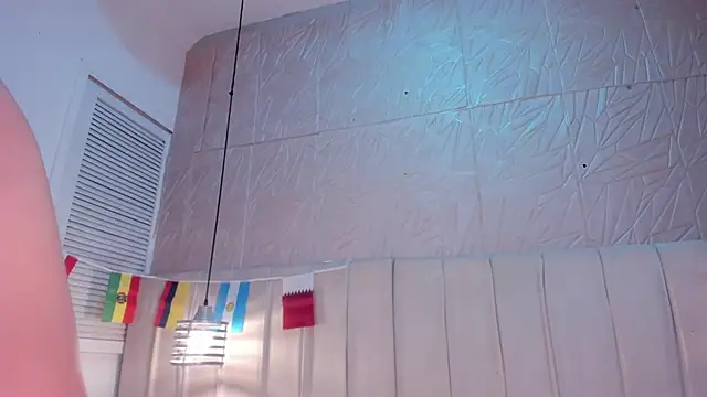 avy_st webcam