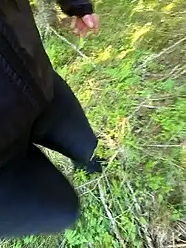 Amatsontrans webcam