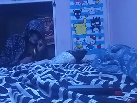 Blkstylion webcam